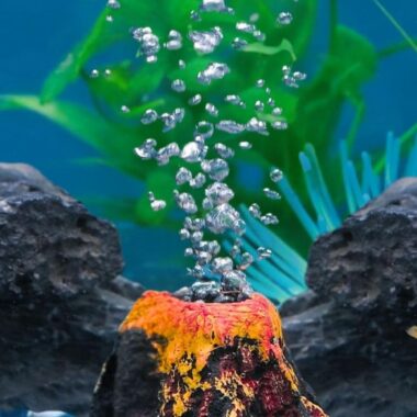 Fish Aquarium Toys Online – Complete Guide